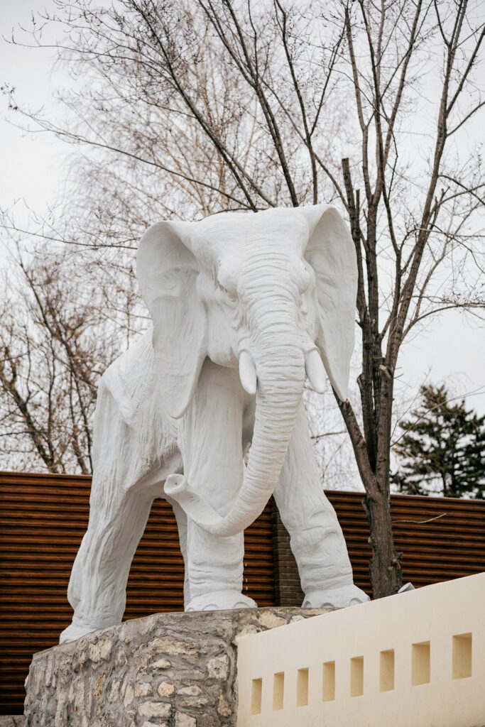 Dreaming of a White Elephant