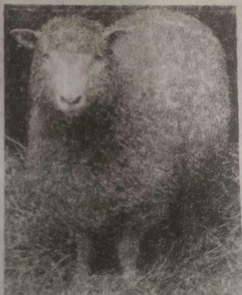 SEE Practice Model SET