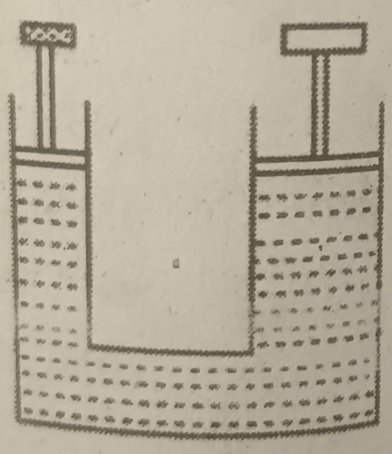 SEE Practice Model Set 3