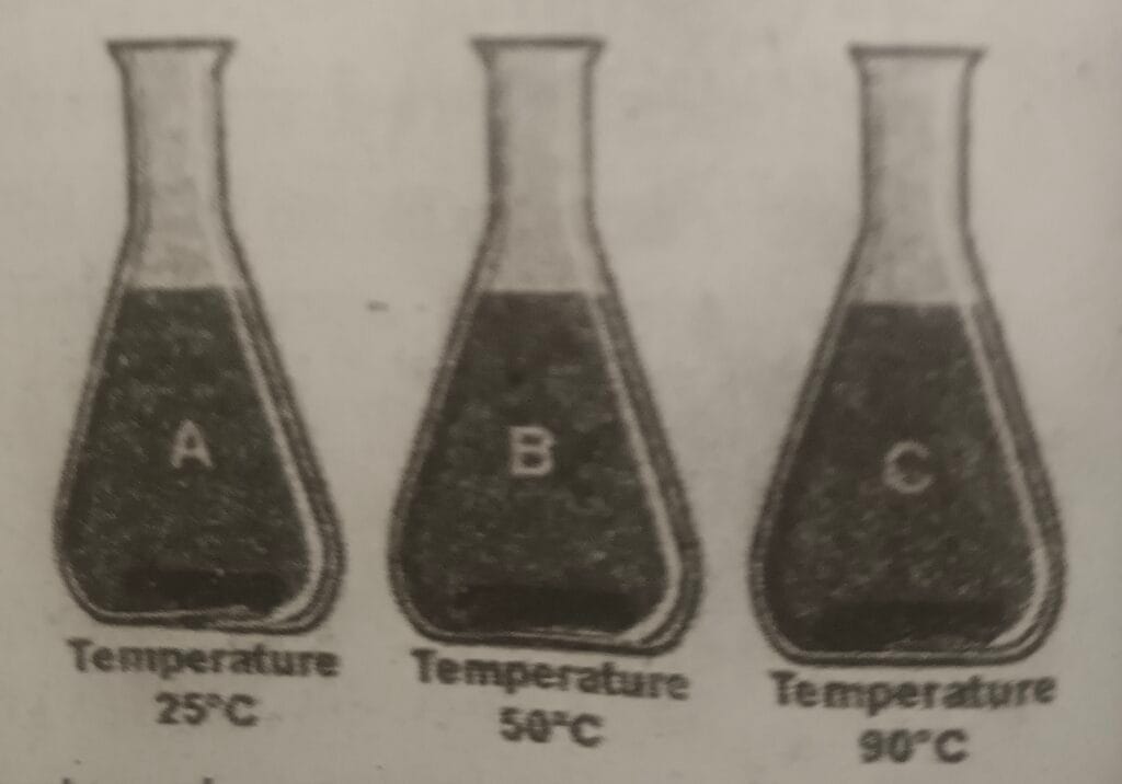 SEE Practice Model Set
