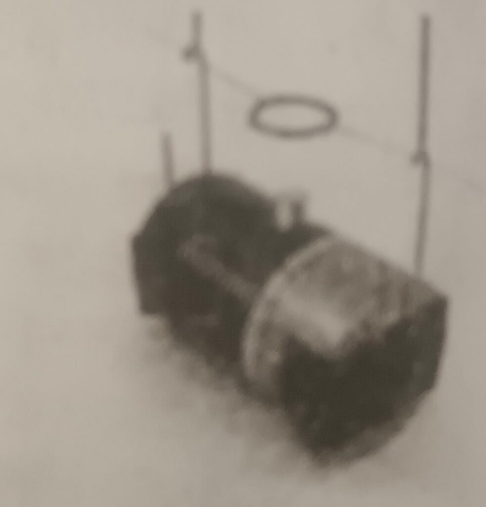 SEE Practice Model Set