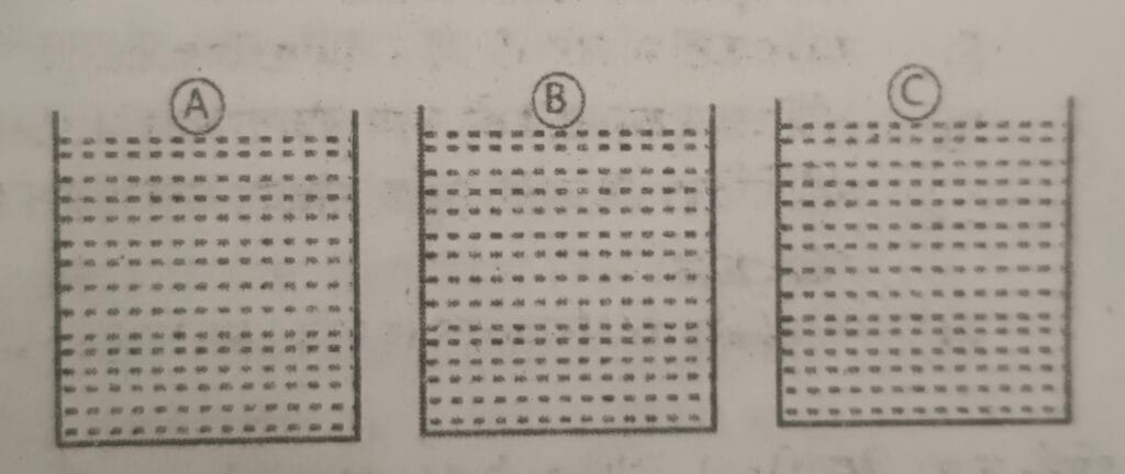 SEE Practice Model Set