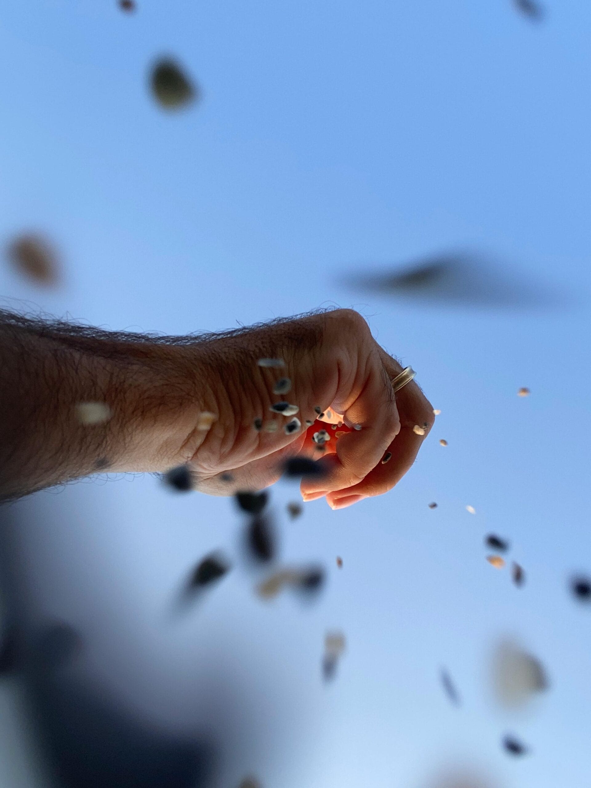 art of letting go