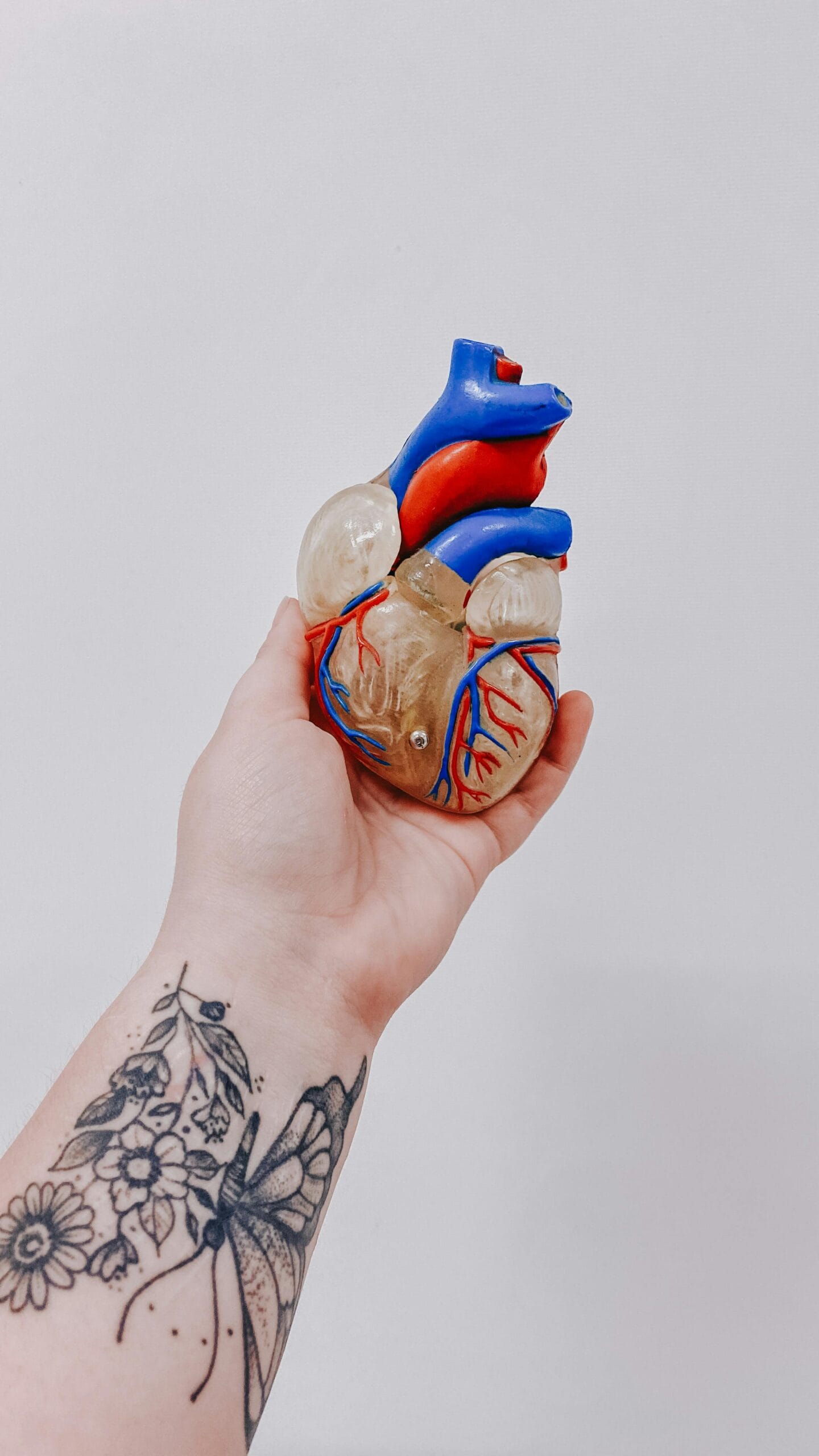 Wearable technology-Medical body mods